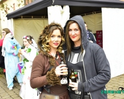 02.03.19 - Faasendumzug