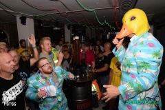 ingo-ohne-flamingo-68