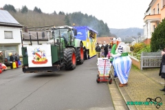 Faasendumzug-Dueppenweiler-10