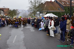 Faasendumzug-Dueppenweiler-101