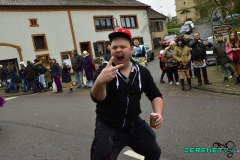 Faasendumzug-Dueppenweiler-103