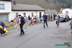 Faasendumzug-Dueppenweiler-17