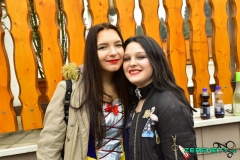 Faasendumzug-Dueppenweiler-2