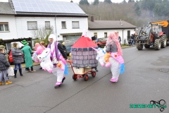 Faasendumzug-Dueppenweiler-21