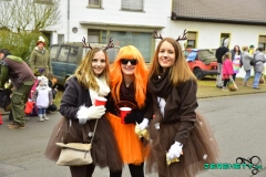 Faasendumzug-Dueppenweiler-25