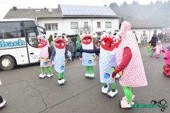 Faasendumzug-Dueppenweiler-34