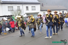 Faasendumzug-Dueppenweiler-36