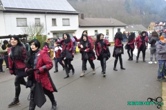 Faasendumzug-Dueppenweiler-42