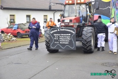 Faasendumzug-Dueppenweiler-43