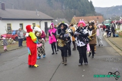 Faasendumzug-Dueppenweiler-67