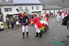 Faasendumzug-Dueppenweiler-69