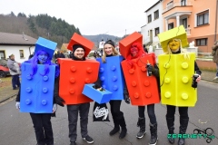 Faasendumzug-Dueppenweiler-85