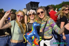 Tropical-Mountain-377